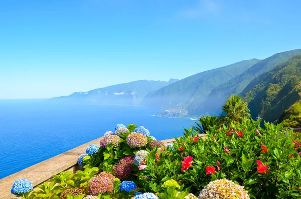 Színes virágok és gyönyörű északi partja Madeira sziget, Portugália. Tipikus Hydrangea, Hortensia virágok. Csodálatos part Ribeira da Janela mellett. Zöld táj az Atlanti-óceán mellett. Örök tavasz — Stock Fotó