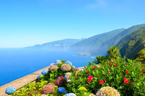 Renkli çiçekler ve Madeira Adası 'nın güzel kuzey kıyıları, Portekiz. Tipik ortanca, Hortensiya çiçekleri. Ribeira da Janela 'dan inanılmaz bir sahil. Atlantik Okyanusu 'nun yanındaki yeşil arazi. Sonsuz bahar