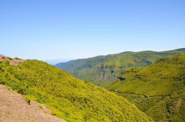 Portekiz 'in Madeira Adası' ndaki Paul da Serra platosunda Rabacal yakınlarındaki inanılmaz Laurisilva ormanı. Madeira 'lı Laurissilva, Unesco' nun doğal mirasının bir parçası. Levada 25 Yazı Tipi Yolu