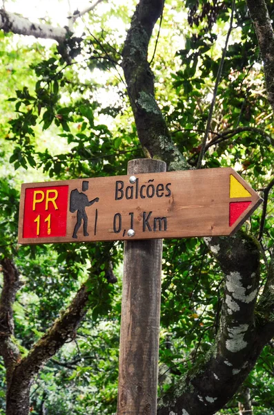 Segnale informativo in legno che indica la direzione e la distanza dal famoso Levada dos Balcoes Trail a Madeira, Portogallo. Segnaletica turistica, sistema di marcatura, marcatore. Alberi verdi sullo sfondo — Foto Stock