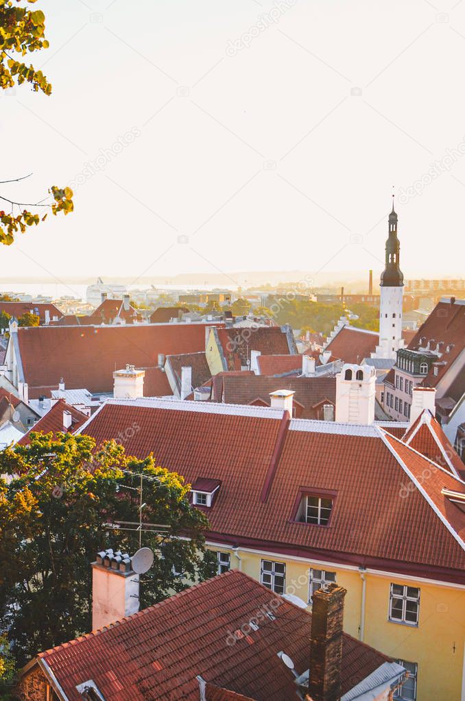 City skyline of the Estonian capital Tallinn with dominant St. Olaf's Church and Church of the Holy Spirit. Historical old town in the sunset light. Sun rays over roofs. Tree branches