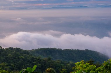 sabah soğuk hava bir deniz sis yavaş yüzen sis kapağı dağın üfleme gibi dağda kayan sis sis bir deniz benziyor olun