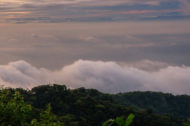 sabah soğuk hava bir deniz sis yavaş yüzen sis kapağı dağın üfleme gibi dağda kayan sis sis bir deniz benziyor olun