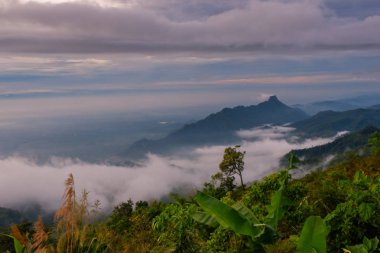 sabah soğuk hava bir deniz sis yavaş yüzen sis kapağı dağın üfleme gibi dağda kayan sis sis bir deniz benziyor olun