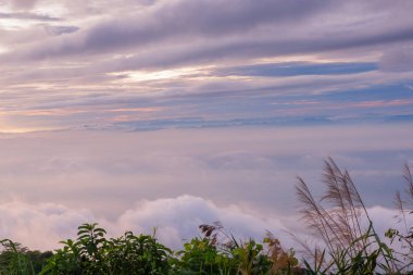 sabah soğuk hava bir deniz sis yavaş yüzen sis kapağı dağın üfleme gibi dağda kayan sis sis bir deniz benziyor olun