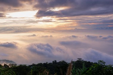 sabah soğuk hava bir deniz sis yavaş yüzen sis kapağı dağın üfleme gibi dağda kayan sis sis bir deniz benziyor olun