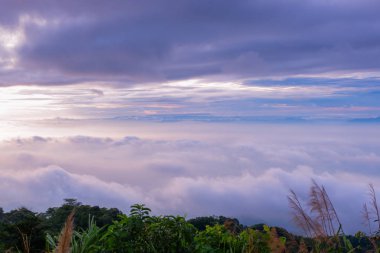 sabah soğuk hava bir deniz sis yavaş yüzen sis kapağı dağın üfleme gibi dağda kayan sis sis bir deniz benziyor olun
