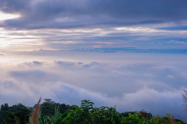 sabah soğuk hava bir deniz sis yavaş yüzen sis kapağı dağın üfleme gibi dağda kayan sis sis bir deniz benziyor olun
