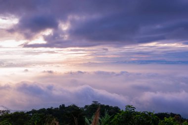 sabah soğuk hava bir deniz sis yavaş yüzen sis kapağı dağın üfleme gibi dağda kayan sis sis bir deniz benziyor olun
