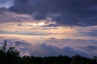 sabah soğuk hava bir deniz sis yavaş yüzen sis kapağı dağın üfleme gibi dağda kayan sis sis bir deniz benziyor olun