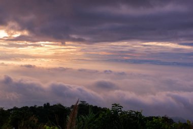 sabah soğuk hava bir deniz sis yavaş yüzen sis kapağı dağın üfleme gibi dağda kayan sis sis bir deniz benziyor olun