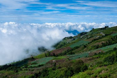 Arka planda dağlar ile kırsal manzara