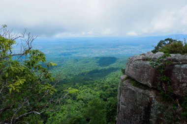 Orman ve dağ arka plan güzel taş uçurumun