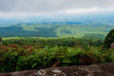 Orman ve dağ arka plan güzel taş uçurumun