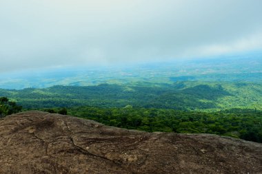 Orman ve dağ arka plan güzel taş uçurumun
