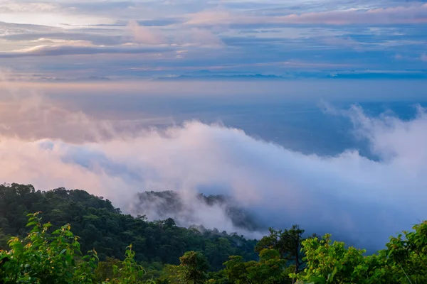 Morning Cold Weather Make Floating Fog Mountain Sea Mist Slow — Stock Photo, Image