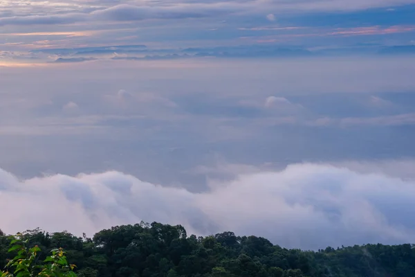 Morning Cold Weather Make Floating Fog Mountain Sea Mist Slow — Stock Photo, Image