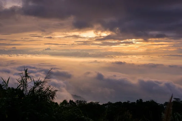 Matin Froid Est Faire Brouillard Flottant Sur Montagne Comme Une — Photo