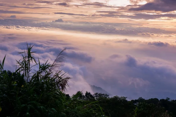 morning the cold weather is make floating fog on the mountain as a sea of mist slow floating fog blowing cover on the top of mountain look like as a sea of mist