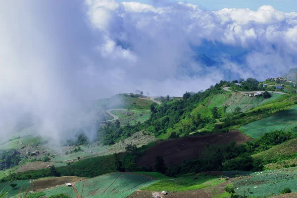 Rural Scene Mountains Background — Stock Photo, Image