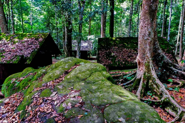 Yazlık Çatı Phu Hin Rong Kla Milli Parkı Tayland Üzerinde — Stok fotoğraf