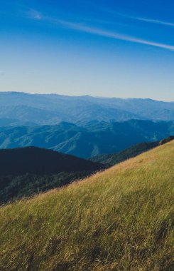Mon jong doi, Tayland, Chiang Mai 'deki dağın tepesindeki yeşil çim tarlası.