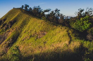 Mon jong doi, Tayland, Chiang Mai 'deki dağın tepesindeki yeşil çim tarlası.