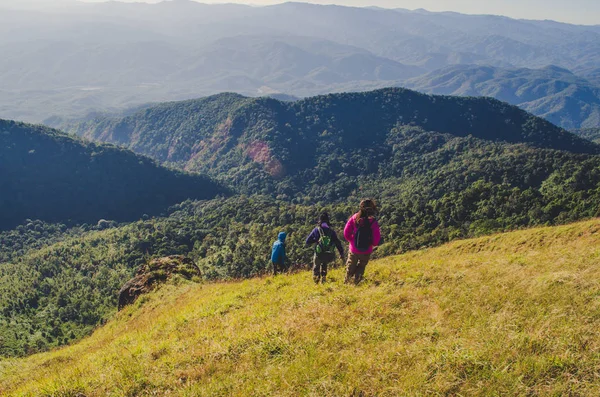 Las Mujeres Están Pie Mirando Distancia Bosque Montañas Fondo — Foto de Stock