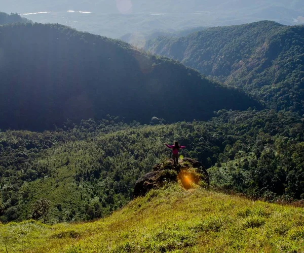 Donne Sono Piedi Guardano Lontananza Foresta Montagne Sullo Sfondo — Foto Stock