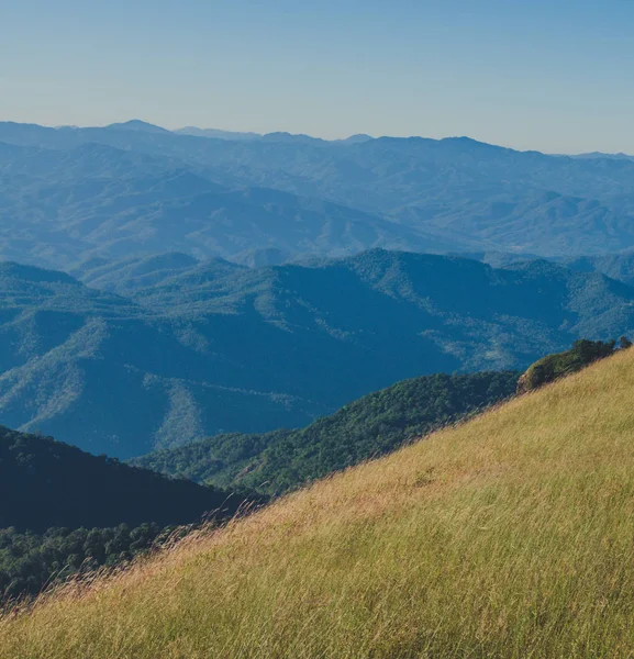 Mon jong doi, Tayland, Chiang Mai 'deki dağın tepesindeki yeşil çim tarlası.