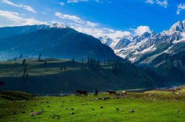 Güzel dağ manzarası devletin Sonamarg, Jammu ve Keşmir, Hindistan