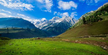 Güzel dağ manzarası devletin Sonamarg, Jammu ve Keşmir, Hindistan