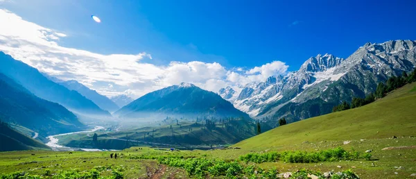 Όμορφη Θέα Στο Βουνό Του Sonamarg Τζαμού Και Κασμίρ Ινδία — Φωτογραφία Αρχείου