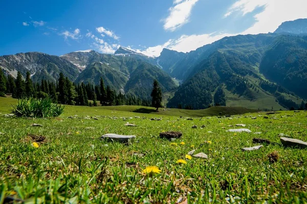 Krásné Mountain View Státu Sonamarg Džammú Kašmír Indie — Stock fotografie