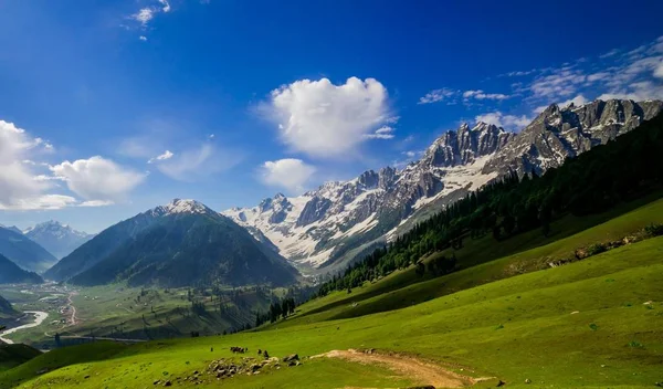 Hermosa Vista Montaña Sonamarg Jammu Estado Cachemira India — Foto de Stock