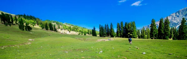 Bela Vista Para Montanha Sonamarg Jammu Caxemira Índia — Fotografia de Stock