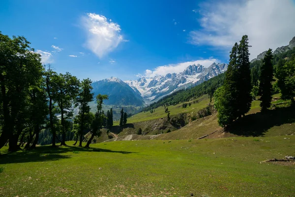Bella Vista Sulle Montagne Dello Stato Sonamarg Jammu Kashmir India — Foto Stock