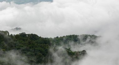 Güzel ve ünlü seyahat konum manzara fotoğraf güzel deniz sis içinde sabah zaman Phu küvet Berk, Tayland.