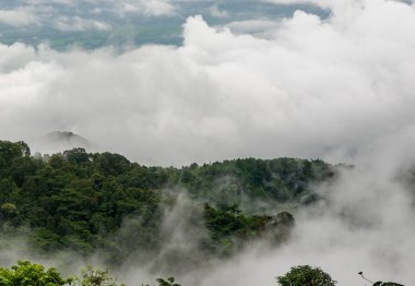 Güzel ve ünlü seyahat konum manzara fotoğraf güzel deniz sis içinde sabah zaman Phu küvet Berk, Tayland.