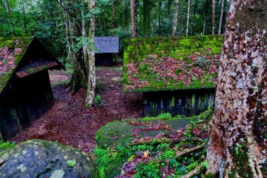 Eski ahşap siyasi ve askeri okulda Phu Hin Rong Kla Milli Parkı