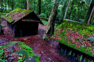 Eski ahşap siyasi ve askeri okulda Phu Hin Rong Kla Milli Parkı