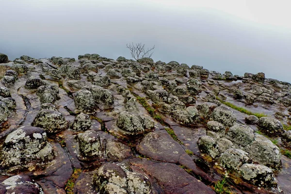 Rocks Trees Fog — Stock Photo, Image