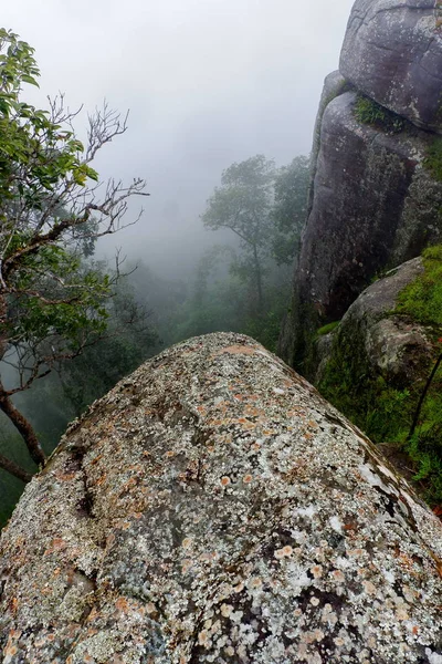 Rocks Trees Fog — Stock Photo, Image