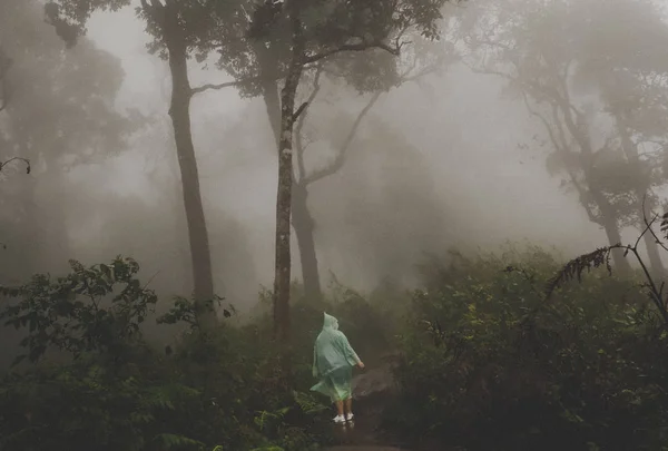 woman with raincoat standing in rainforest with fog