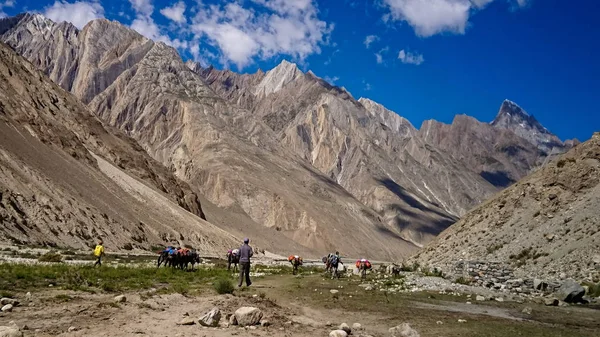 Trekking Entlang Des Braldu Flusses Karakorum Gebirge Norden Pakistans Landschaft — Stockfoto