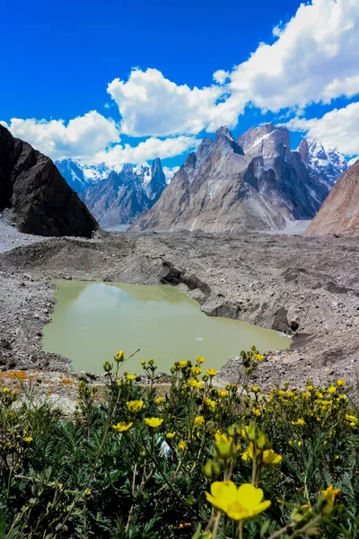 Familia Torre Tránsito Cordillera Karakoram Campamento Base Pakistán Asia —  Fotos de Stock