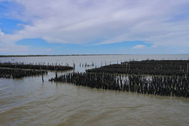 Tayland 'daki Ao Phang Nga Körfezi Ulusal Parkı' nda tekneyle gezilen önemli yerler. Güneydoğu Asya