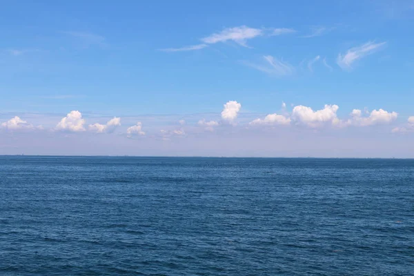 Bryde\'s whale eating food in Gulf of Thailand