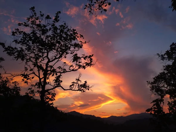 Atardecer Amanecer Cielo Con Montaña Árbol — Foto de Stock