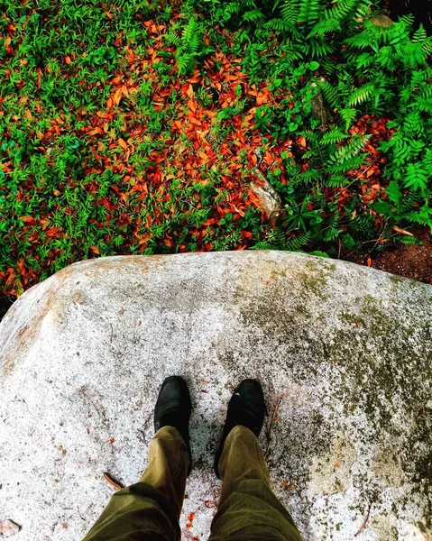 Gambe Uomini Escursionisti Piedi Pietra Nella Foresta — Foto Stock